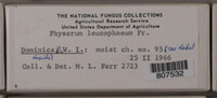Image Associated With the Occurence